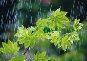 بارندگی های فارس از میانگین دراز مدت کمتر است