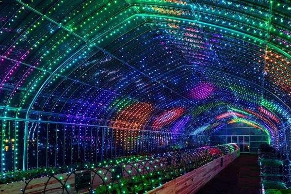 در این گلخانه صدای گیاهان را می شنوید!