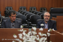 زائران اربعین حسینی در نجف اشرف