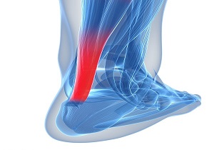 برگزاری دوره آموزشی حرکات اصلاحی