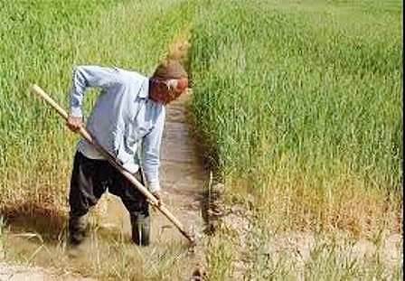 صدور حکم بازنشستگی خانوار روستایی شهرستان بهار