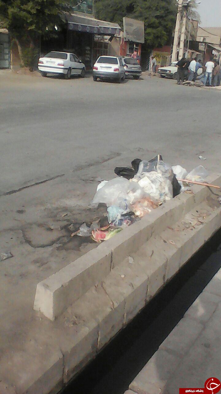 تصاویری از وضعیت نامناسب بهداشت در پردیس