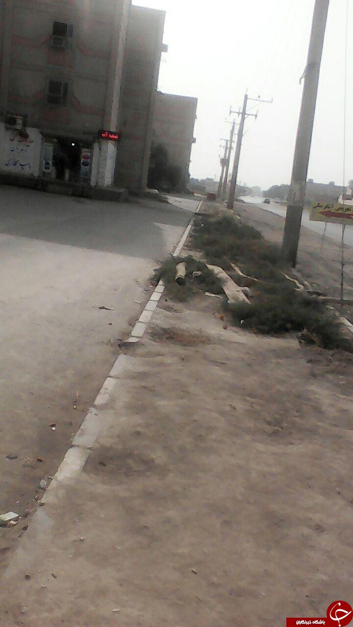 تصاویری از وضعیت نامناسب بهداشت در پردیس