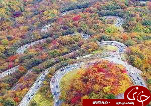 پاییزگردی در مازندران / جذب گردشگران در روستا&zwnj;ها و مناطق جنگلی مازندران با چیدن انواع میوه&zwnj;های پاییزی