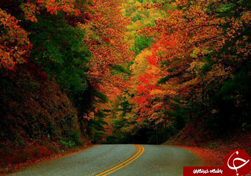 پاییزگردی در مازندران / جذب گردشگران در روستا&zwnj;ها و مناطق جنگلی مازندران با چیدن انواع میوه&zwnj;های پاییزی