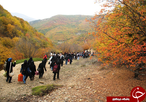 پاییزگردی در مازندران / جذب گردشگران در روستا&zwnj;ها و مناطق جنگلی مازندران با چیدن انواع میوه&zwnj;های پاییزی