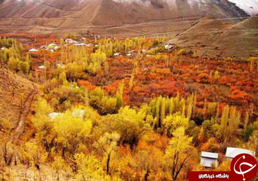 پاییزگردی در مازندران / جذب گردشگران در روستا&zwnj;ها و مناطق جنگلی مازندران با چیدن انواع میوه&zwnj;های پاییزی