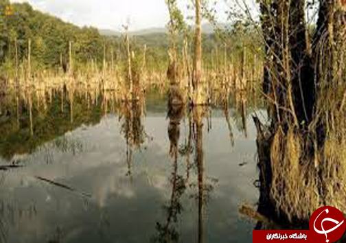 پاییزگردی در مازندران / جذب گردشگران در روستا&zwnj;ها و مناطق جنگلی مازندران با چیدن انواع میوه&zwnj;های پاییزی