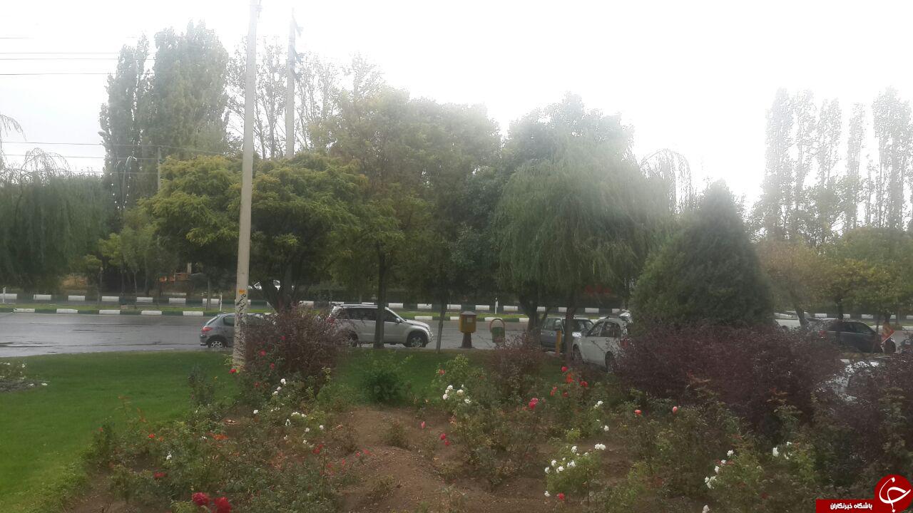 بارش باران در زنجان