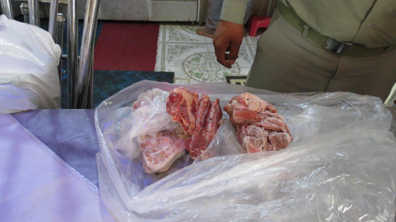 کشف گوشت قوچ وحشی در زاوه