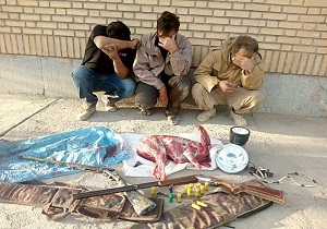 دستگیری عاملین شکار آهو در سرخه