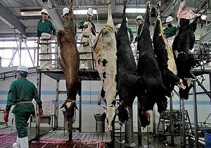احیای پست های قرنطینه بین راهی خراسان جنوبی