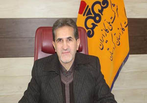 گازرسانی به روستاهای کردستان تا پایان سال جاری