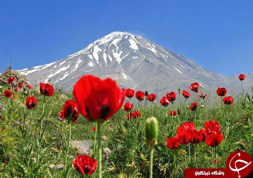 روز مازندران آغاز همراهی برای احیای سنت&zwnj;های کهن