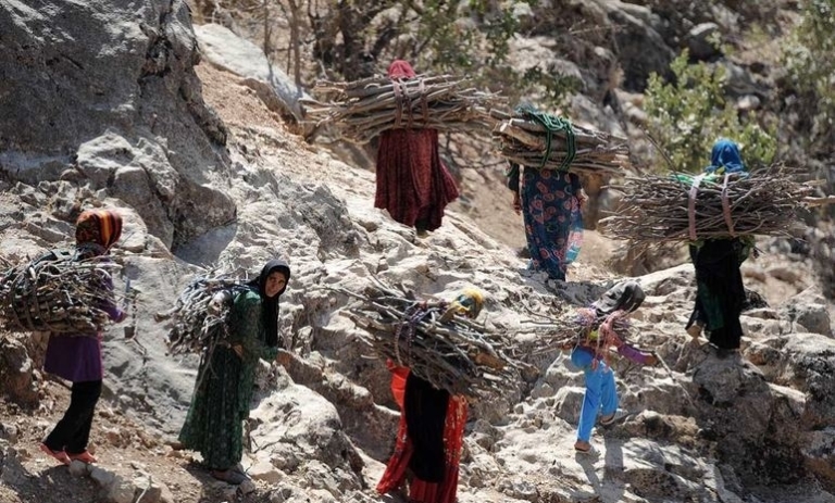 خداحافظی با کمربند سبز زاگرس نزدیک است/ استقبال دردناک دنا نشینان از سرما خداحافظی با کمربند سبز زاگرس نزدیک است/ استقبال دردناک دنا نشینان از سرما
