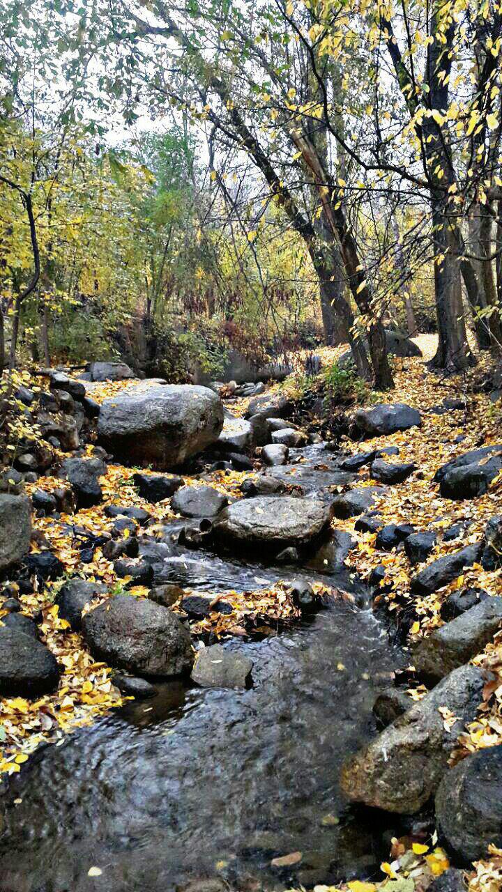 طبیعت زیبای پاییزی در همدان