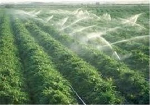 اختصاص 700 میلیارد ریال برای اجرای طرح های آبیاری مدرن دراستان اردبیل