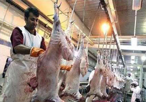 ضرورت ساماندهی کشتارگاه دهدشت
