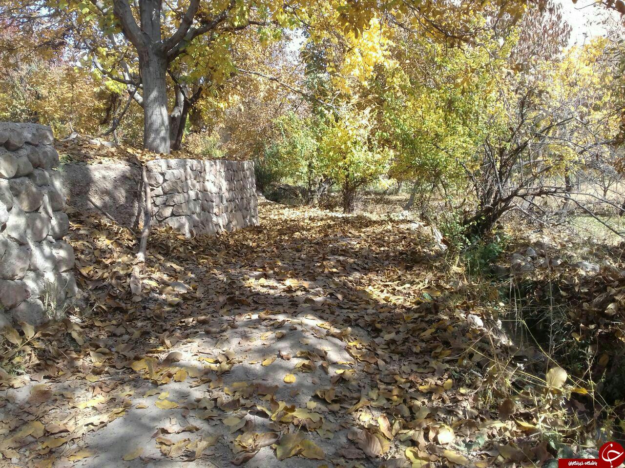 طبیعت زیبای روستای &laquo;محمودی&raquo; + تصاویر