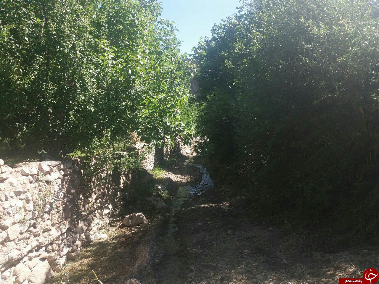 طبیعت زیبای روستای &laquo;محمودی&raquo; + تصاویر
