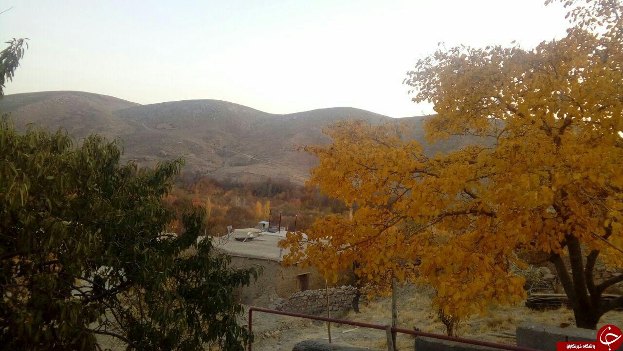 طبیعت زیبای روستای &laquo;محمودی&raquo; + تصاویر