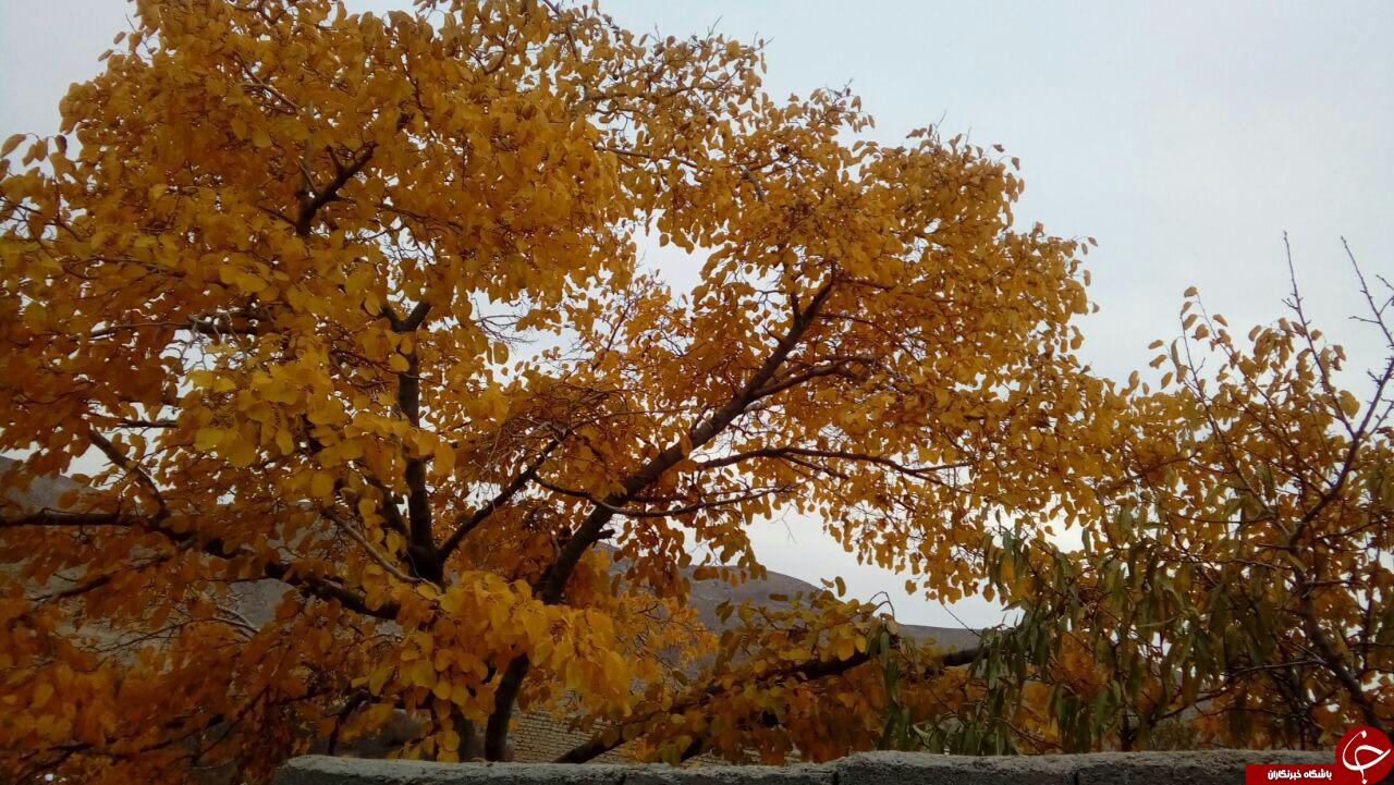 طبیعت زیبای روستای &laquo;محمودی&raquo; + تصاویر