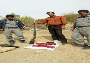 شکارچیان خرگوش در منطقه حفاظت شده سفید کوه خرم آباد به دام افتادند