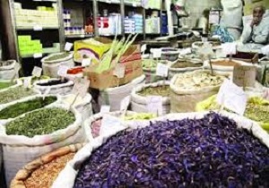 راه‌اندازی آزمایشگاه شناسایی گیاهان دارویی در گرمی