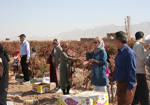 قاین میزبان دو تور گردشگری