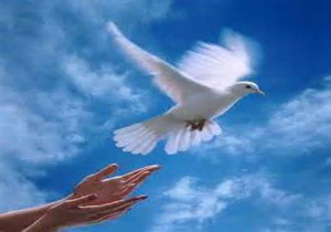 زن شوهرکش بخشیده شد