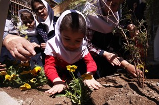 رأی متفاوت کمیسیون ماده 7 درخصوص قطع درخت در یک مدرسه تبریز