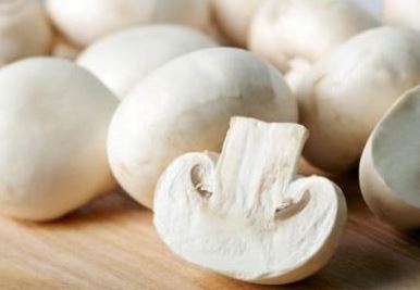 قیمت فروش فارچ اسلایس شده در میادین میوه و تره بار