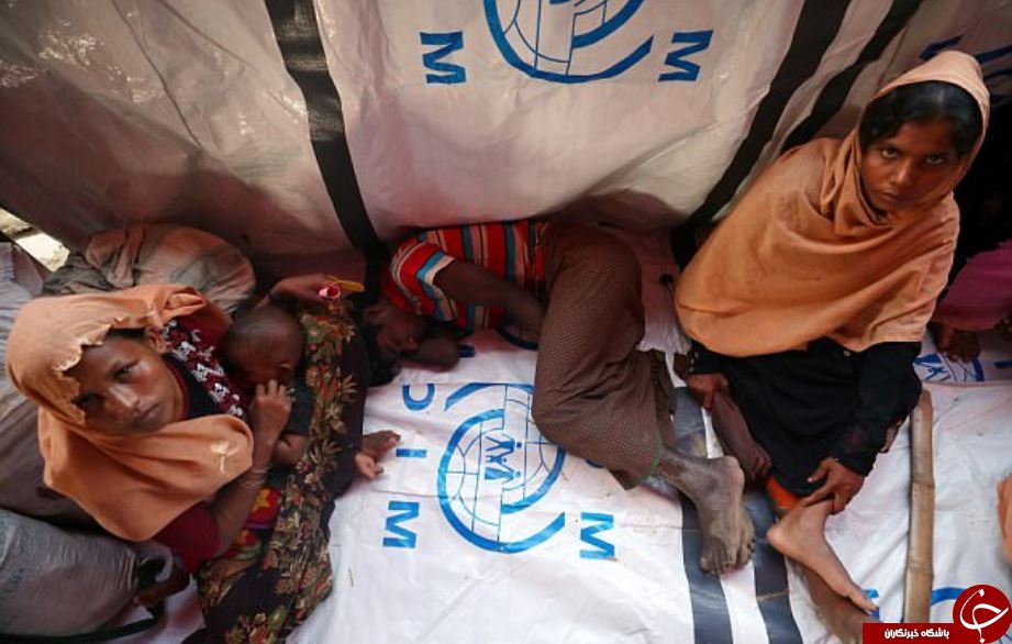 دیلی&zwnj;میل: نسل&zwnj;کشی روهینگیایی&zwnj;ها در مقابل چشمان برنده جایزه صلح نوبل