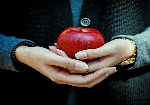 بلایی که رنگ‌های شیمیایی بر سر موی بانوان می‌آورند