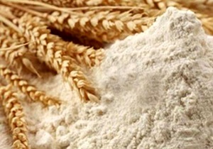 اجرای طرح غنی سازی آرد نان با ترمیکس در قم