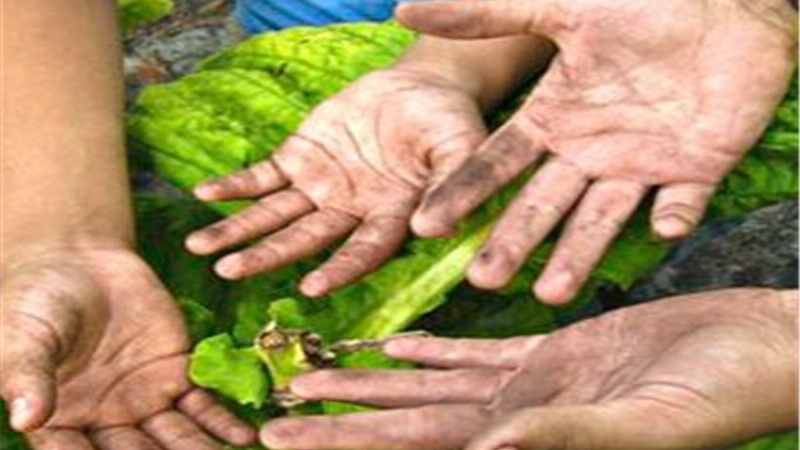 بیش از یک میلیون کودک در افغانستان کار می کنند