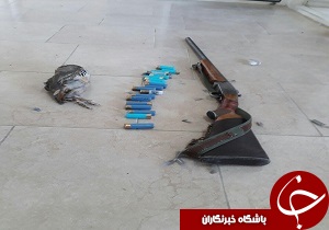 حکم جالب یک قاضی برای شکارچی متخلف