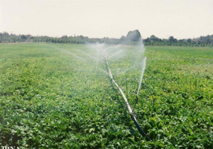 واگذاری۹۷۰۰ هکتار از اراضی ملی برای توسعه لرستان
