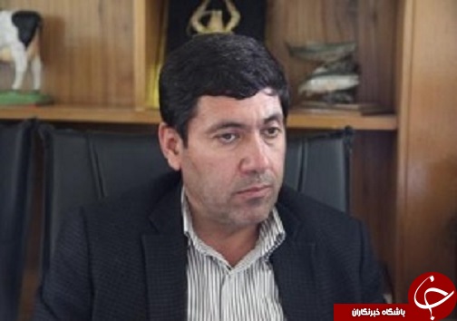 نوجوان خویی قربانی نزاع دسته جمعی شد /کشف ۱۰ بسته طلای کار شده قاچاق/2 کشته و یک مجروح بر اثر برخورد تریلی و پژو پارس