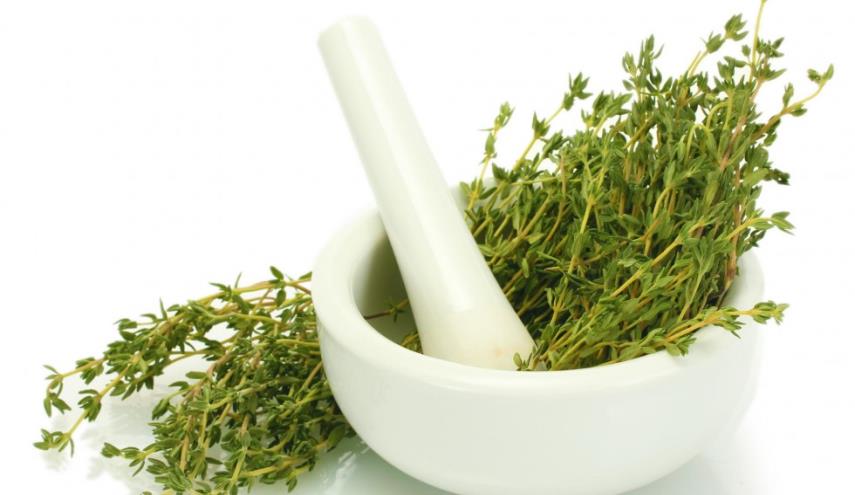 تنها داروی امیرالمومنین به روایت امام رضا(ع)