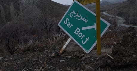 صدای درختان را در جنگل جیغ بشنوید