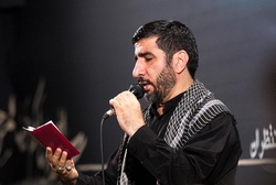 باشگاه خبرنگاران -مداحی «نوکرم کی میرم حرم» با صدای مهدی سلحشور + دانلود