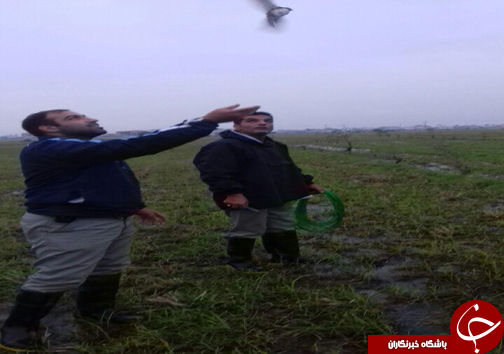جمع آوری ۸ رشته دام هوایی صیادان در دو شهر مازندران
