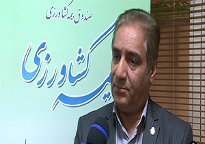 تنه ی درختان بیمه می شود