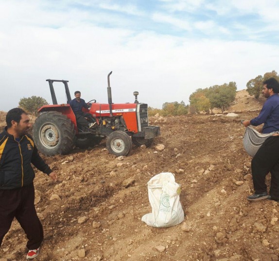باز پس گیری اراضی ملی در سرپل ذهاب +تصاویر