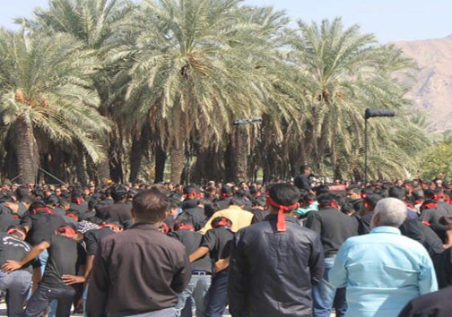 هرمزگان سوگوار اربعین حسینی