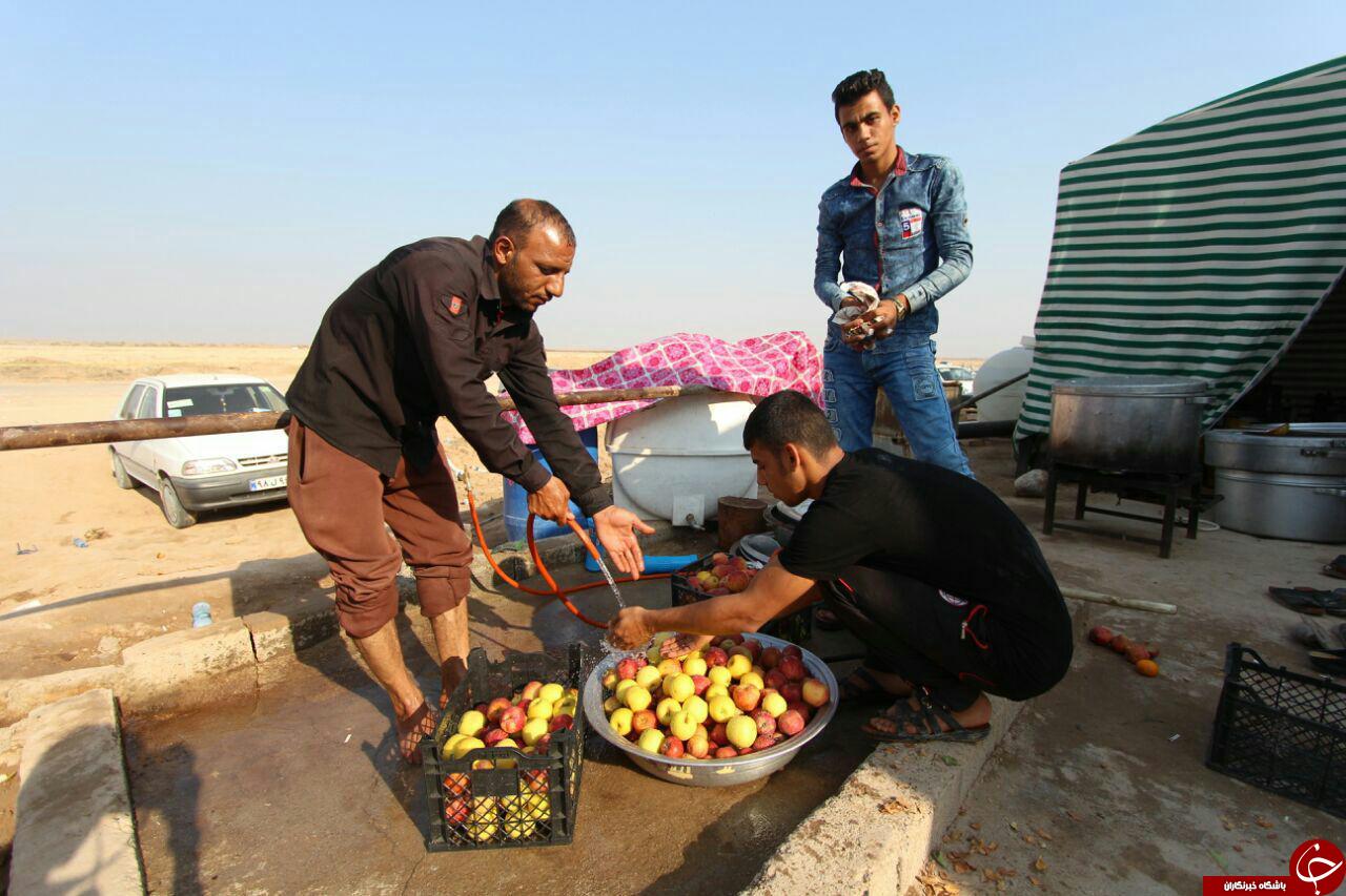 اینجا تکیه&zwnj;ای از بهشت است/ اربعین ۹۶+تصاویر