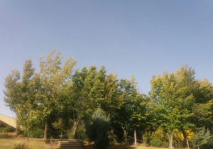 پیش بینی افزایش ابر و وزش باد ۱۳۹۶/۰۸/۱۹