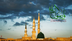 پیامبر اسلام (ص) شهید شدند یا وفات کردند؟ ------- کار نشود ----------