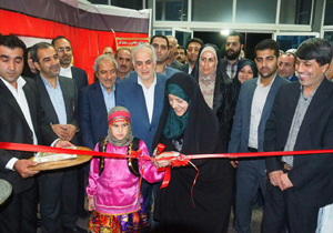 چرخ اقتصاد خانواده با همت بانوان روستایی